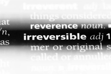 geri dönüşü olmayan tek kelimeyle bir sözlük. geri dönüşü olmayan kavramı.