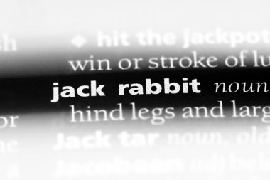 Jack rabbit bir sözlük tek kelimeyle. Jack rabbit kavramı.