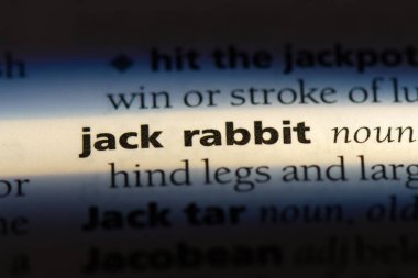 Jack rabbit bir sözlük tek kelimeyle. Jack rabbit kavramı.