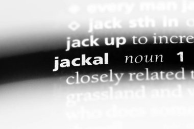çakal Word'de bir sözlük. çakal kavramı.