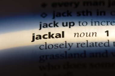 çakal Word'de bir sözlük. çakal kavramı.