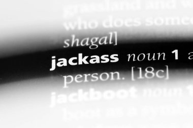 Jackass Word'de bir sözlük. Jackass kavramı.