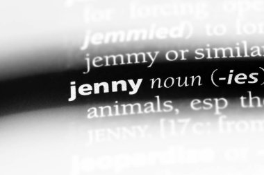 Jenny Word'de bir sözlük. Jenny kavramı.