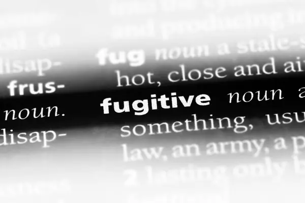Mot Fugitif Dans Dictionnaire Concept Fugitif — Photo