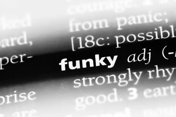 Palabra Funky Diccionario Concepto Funky — Foto de Stock