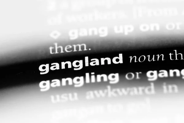 Gangland Word Dictionary Gangland Concept — Stock Photo, Image