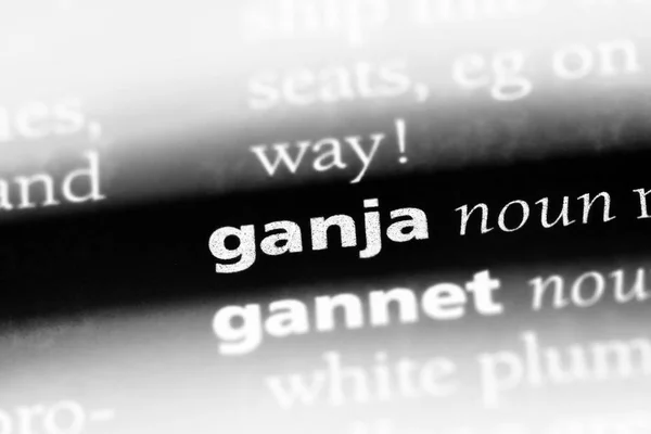 Ganja Λέξη Ένα Λεξικό Ganja Έννοια — Φωτογραφία Αρχείου