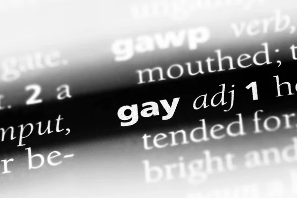 Parola Gay Dizionario Concetto Gay — Foto Stock