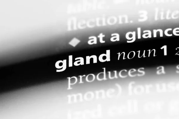 辞書で単語を腺 グランド コンセプト — ストック写真