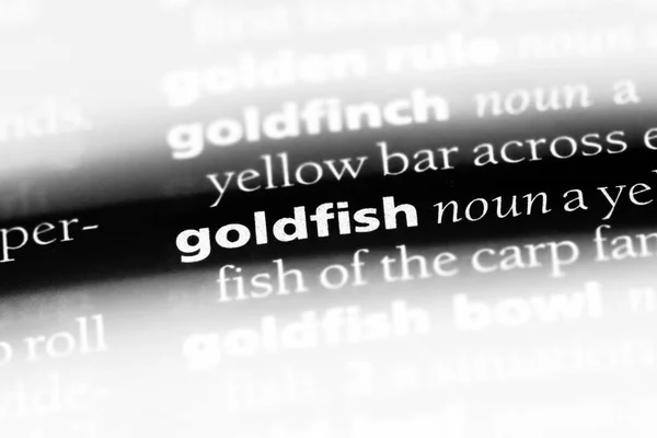 Золота Рибка Словнику Концепція Золотої Риби — стокове фото