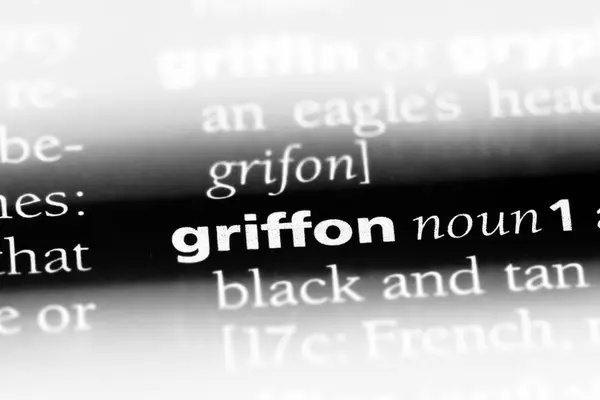 Griffon Słowo Słowniku Koncepcja Griffon — Zdjęcie stockowe