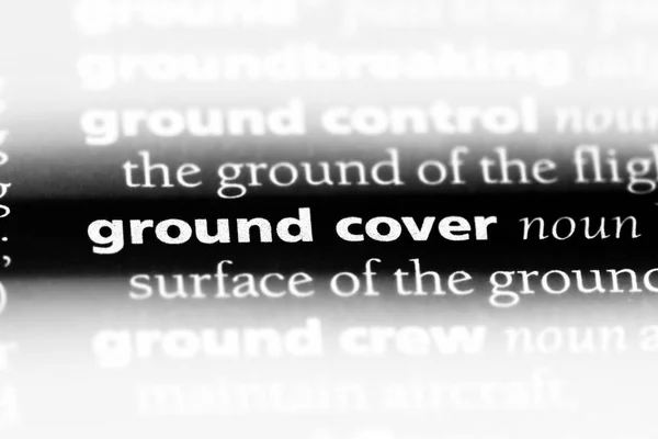 ground cover word in a dictionary. ground cover concept