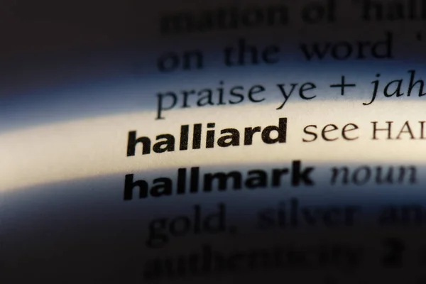 Palabra Halliard Diccionario Concepto Halliard — Foto de Stock