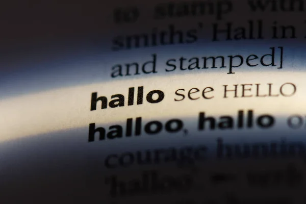 Hallo Word Dictionary Hallo Concept — Stock Photo, Image