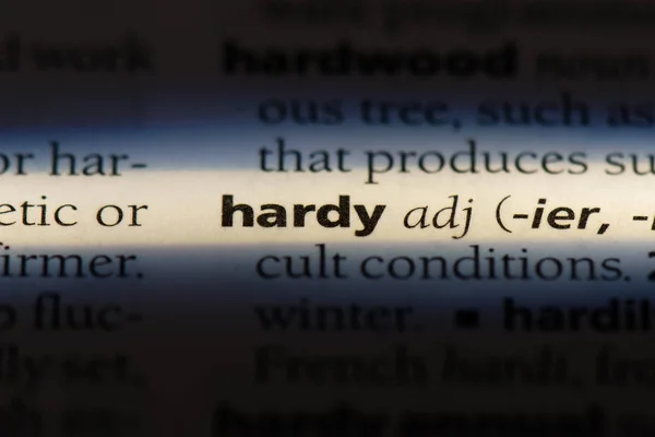 Hardy Słowo Słowniku Koncepcja Hardy — Zdjęcie stockowe