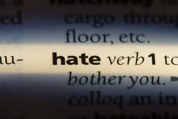 ANTONYM OF HATE visual data 4