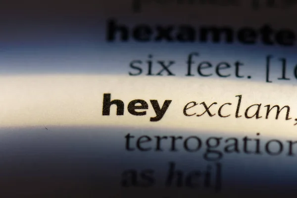 Hey Word Dictionary Hey Concept — Stock Photo, Image