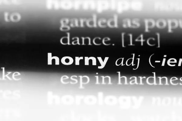 Horny Word Dictionary Horny Concept — Stock Photo, Image