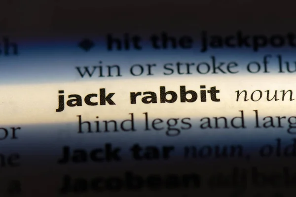 jack rabbit word in a dictionary. jack rabbit concept.
