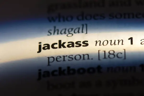Jackass Słowo Słowniku Koncepcja Jackass — Zdjęcie stockowe