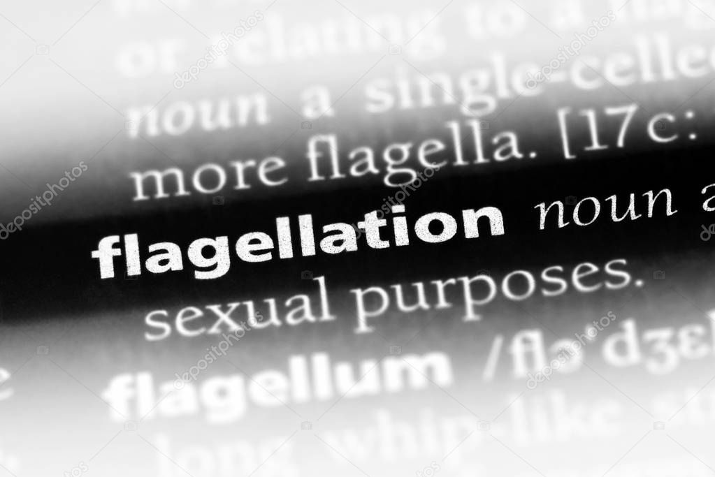 flagellation word in a dictionary. flagellation concept