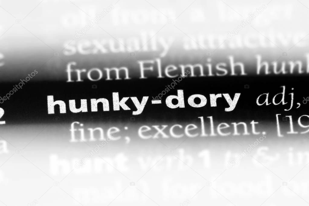 hunky dory word in a dictionary. hunky dory concept.