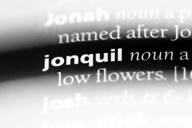 Zerrin Word'de bir sözlük. Zerrin kavramı.