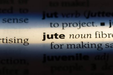 Jüt Word'de bir sözlük. Jüt kavramı.