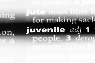 Genç tek kelimeyle bir sözlük. çocuk kavramı.