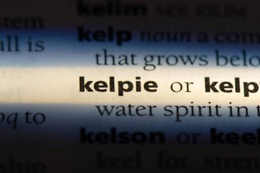 ırklarının Word'de bir sözlük. ırklarının kavramı.