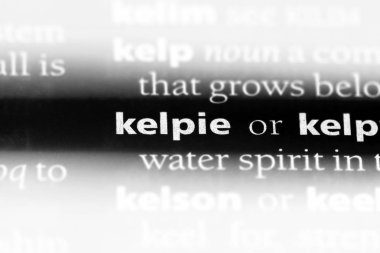 ırklarının Word'de bir sözlük. ırklarının kavramı.