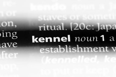 köpek kulübesi Word'de bir sözlük. köpek kulübesi kavramı.