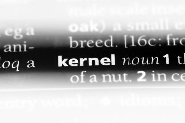 çekirdek Word'de bir sözlük. çekirdek kavramı.