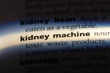 böbrek makine Word'de bir sözlük. böbrek makinesi konsepti.