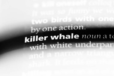 katil whake kelimeyle bir sözlük. katil whake kavramı.