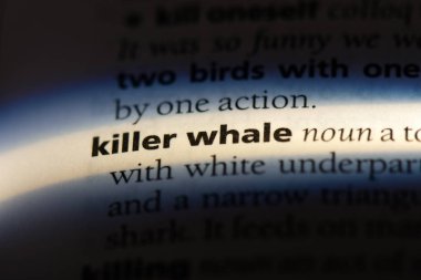 katil whake kelimeyle bir sözlük. katil whake kavramı.