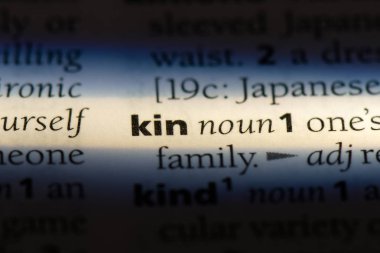 bir sözlüğü'ndeki kın sözcüğü. kın konsepti.