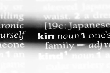 bir sözlüğü'ndeki kın sözcüğü. kın konsepti.