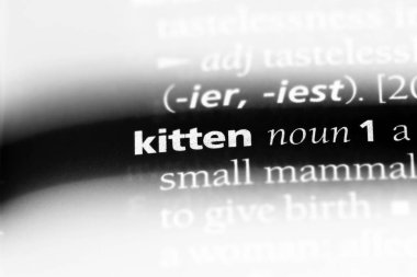 yavru kedi sözcüğü sözlüğe. yavru kedi kavramı.