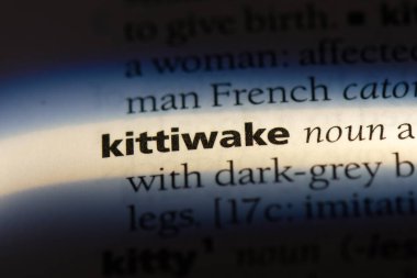 Martı Word'de bir sözlük. Martı kavramı.