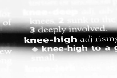 Knee yüksek bir sözlükte kelime. diz yüksek kavram.