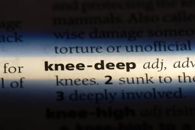 diz derin sözcük sözlüğe. diz derin kavramı.