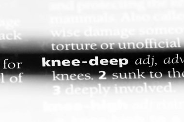 diz derin sözcük sözlüğe. diz derin kavramı.