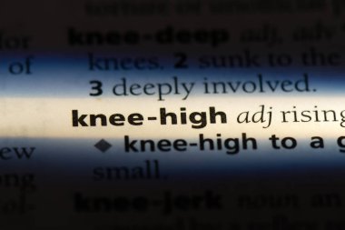 Knee yüksek bir sözlükte kelime. diz yüksek kavram.
