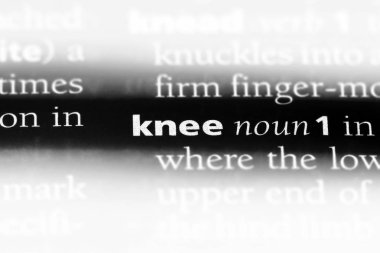 diz Word'de bir sözlük. diz kavramı.