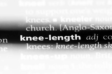 diz uzunluğu bir sözlük tek kelimeyle. diz uzunluğu kavramı.