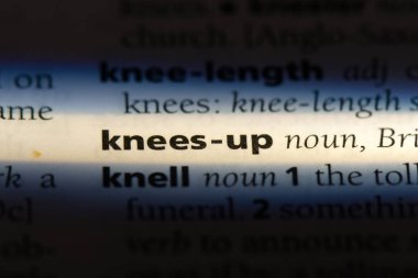 diz sözcüğü sözlüğe. diz yukarı kavramı.