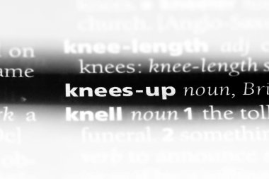 diz sözcüğü sözlüğe. diz yukarı kavramı.