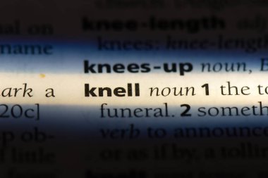 bir sözlüğü'ndeki sözcüğü çanı. çanı kavramı.