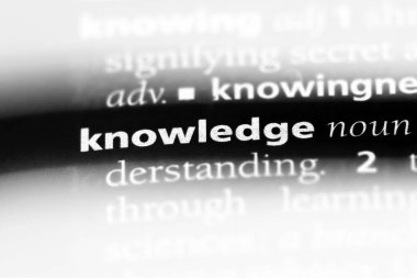 bilgi sözlük tek kelimeyle. bilgi kavramı.